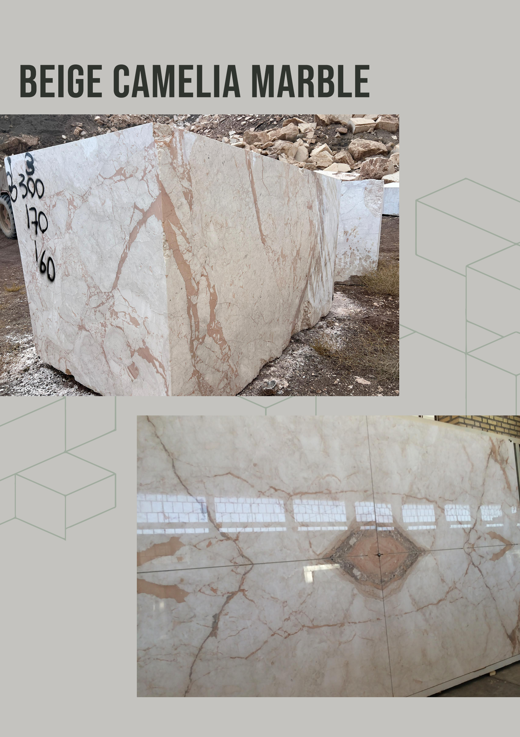 Beige Camelia Marble beige marble camelia marble iranian marble iran marble Persian marble